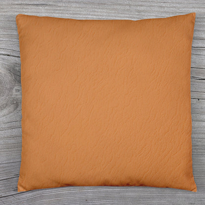 Couch Pillows Cover