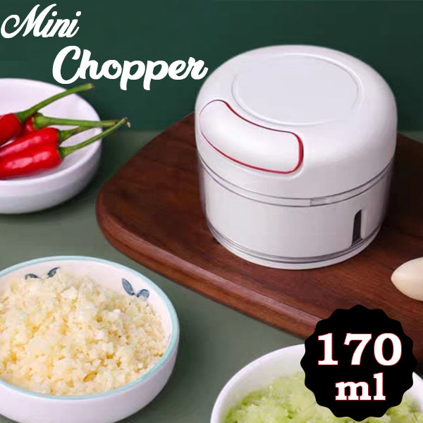 2402 Mini Garlic Chopper Mixer, Portable Cordless Grinder 