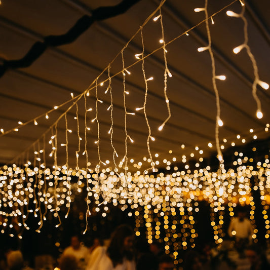 Festive 3 Meter Festival Decoration Led String Light, Diwali Light for Indoor and Outdoor Uses in All Ocassion Birthday 1 Color Light  (16l 3Mtr)