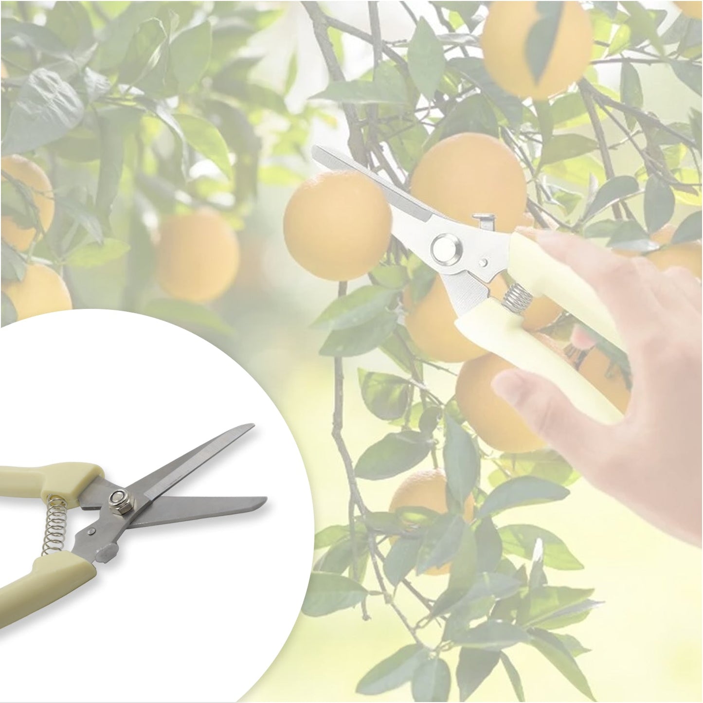 Garden Pruning Shears with Anti-Slip Handle Labor-Saving Fruit Tree Pruning Shears