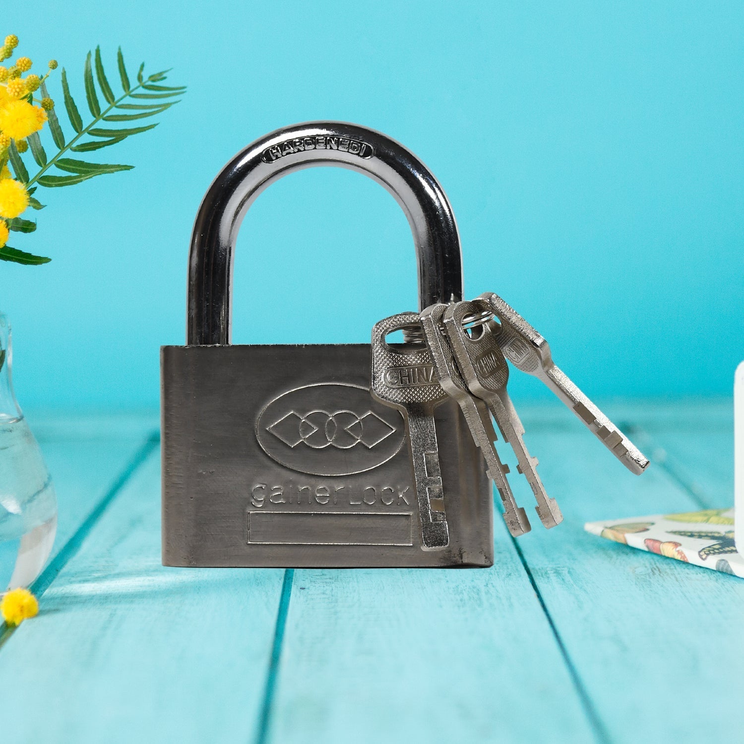 1681 Locking Solutions and Systems 7675 Padlock Sherlock Lock 