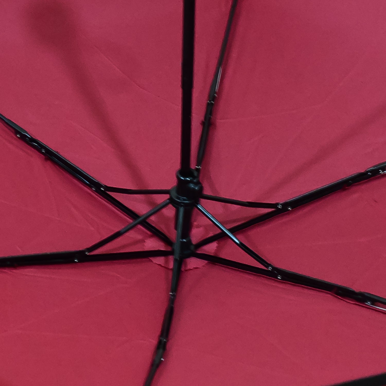 Foldable Umbrella