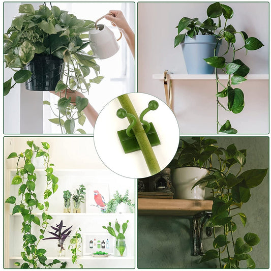 6156L Plant Climbing Wall Clips Self-Adhesive Money Plant Support Clips Vine Plant Climbing Fixing Clip 