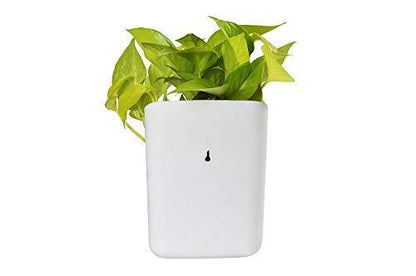 3858 Plastic Vertical Hanging Planter Pot, Multicolour, 