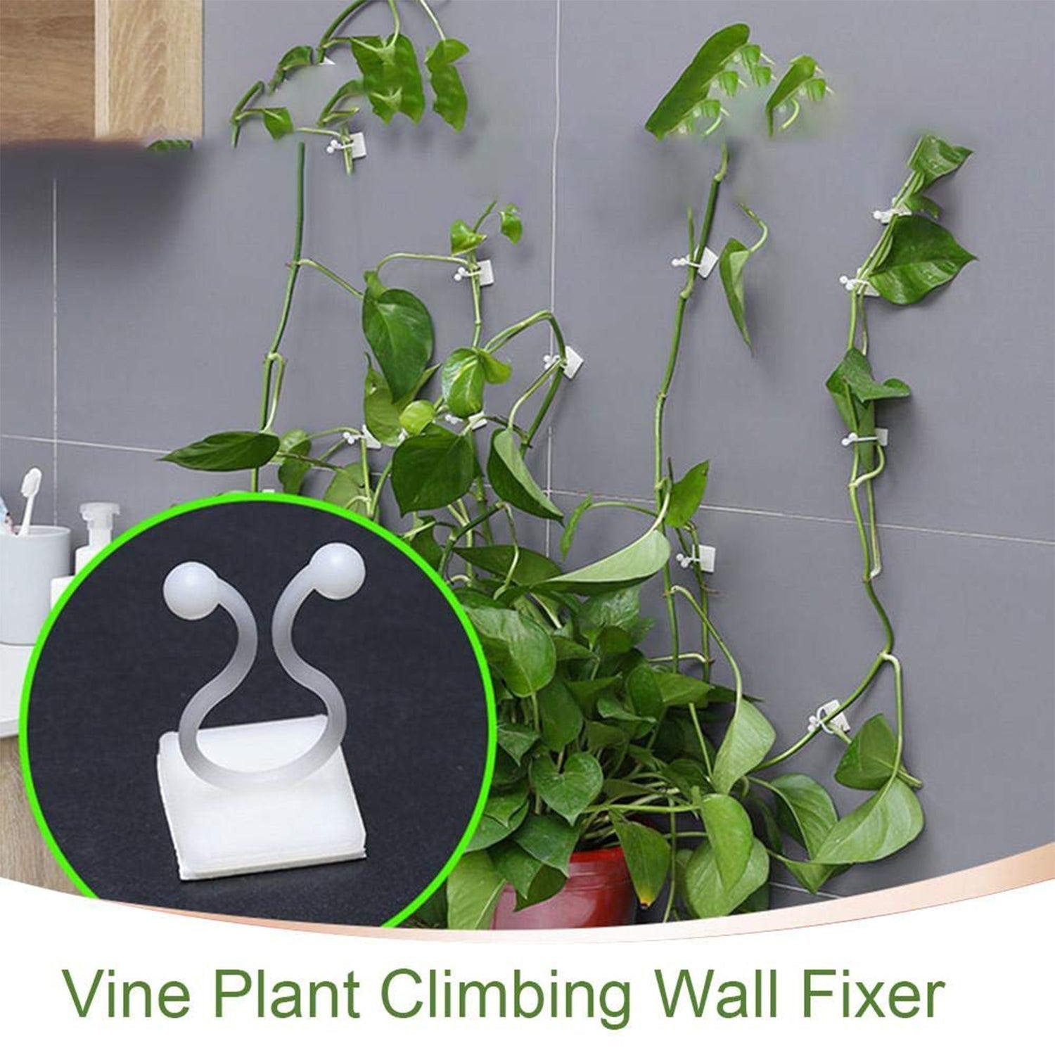 6156 wall Plant Climbing Clip widely used for holding plants and poultry purposes and all. 