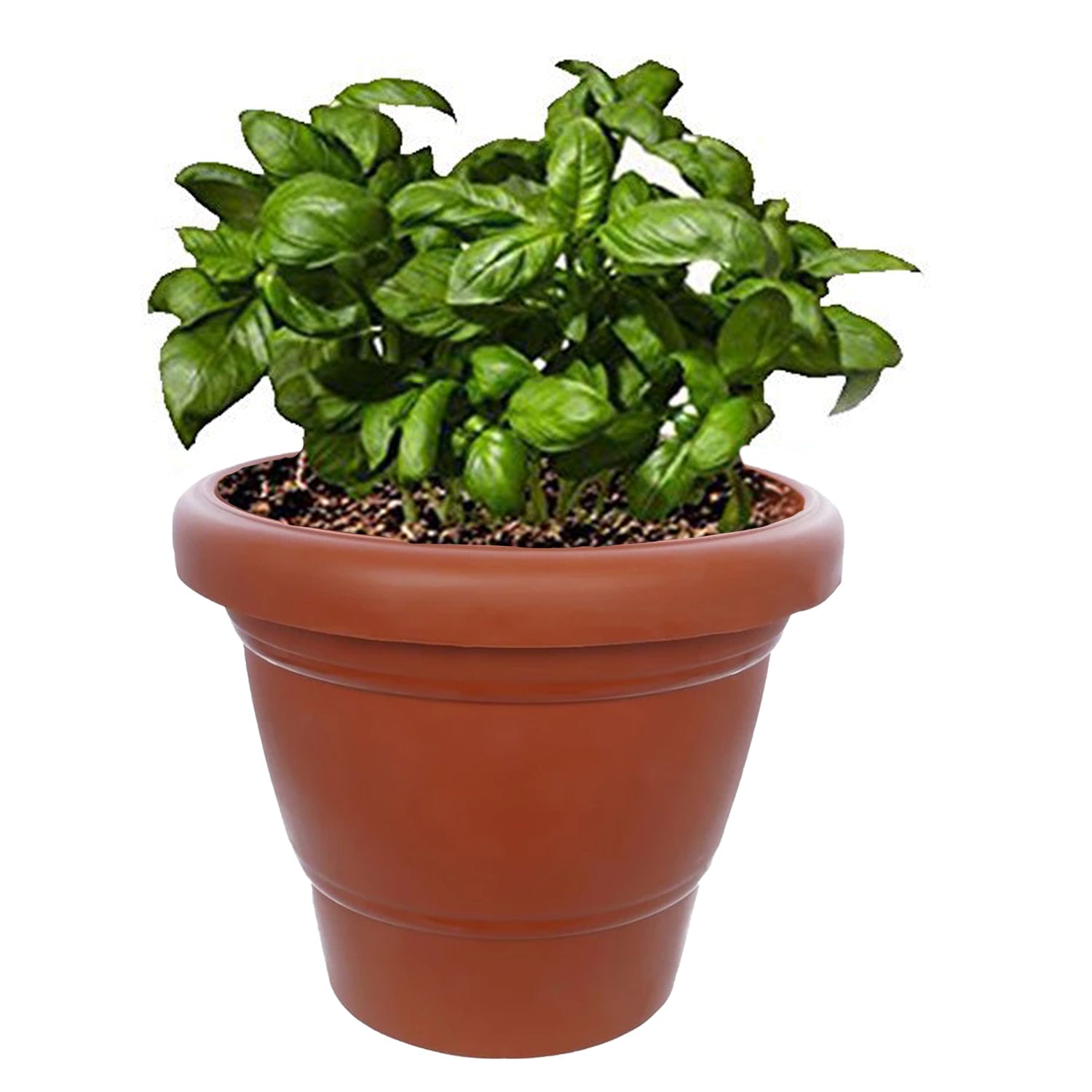 0839 Garden Heavy Plastic Planter Pot/Gamla 6 inch (Brown, Pack of 1, Small) 